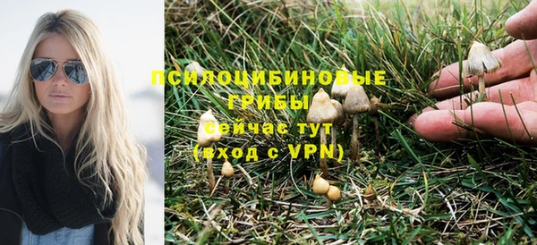 дурь Медногорск