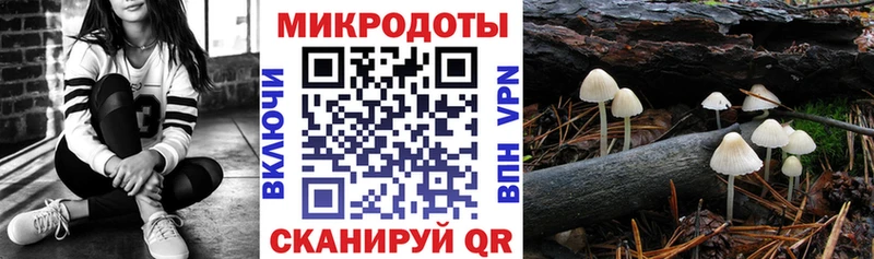 kraken зеркало  Темрюк  Псилоцибиновые грибы Psilocybe 