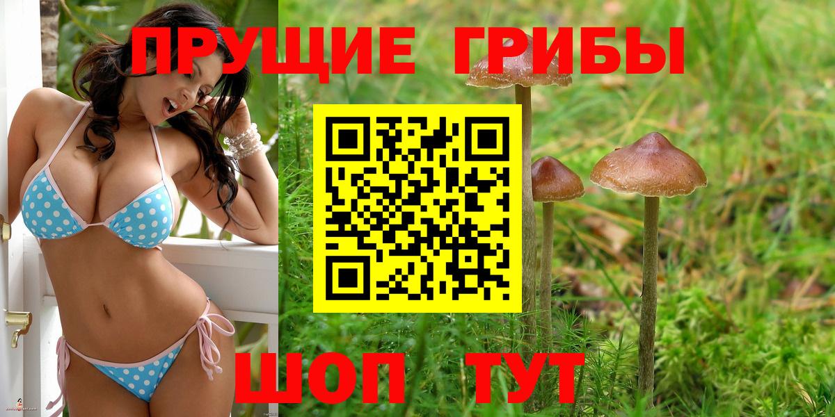 Псилоцибиновые грибы Cubensis Темрюк