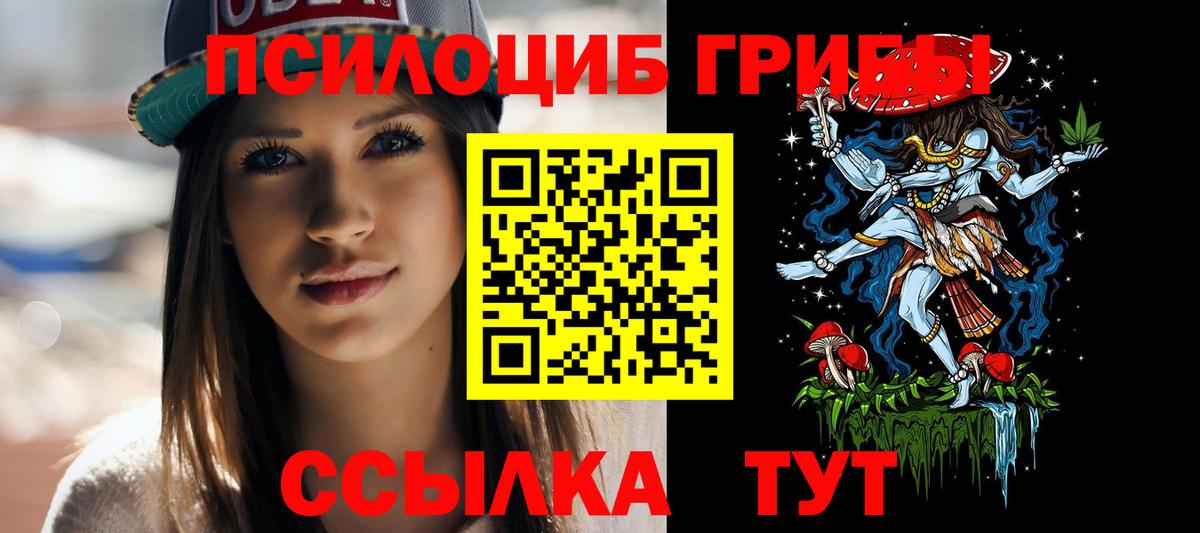 Псилоцибиновые грибы Cubensis  Темрюк  Псилоцибиновые грибы Magic Shrooms 
